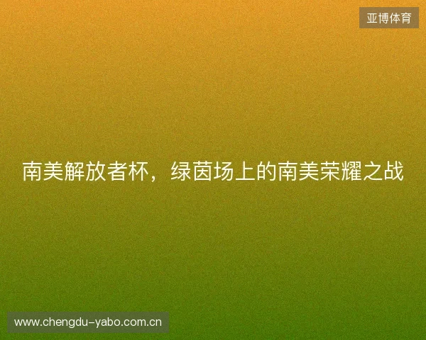 南美解放者杯，绿茵场上的南美荣耀之战