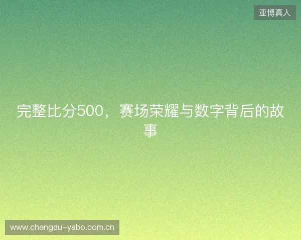 完整比分500，赛场荣耀与数字背后的故事