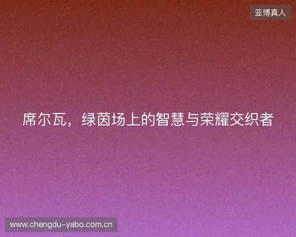 席尔瓦，绿茵场上的智慧与荣耀交织者