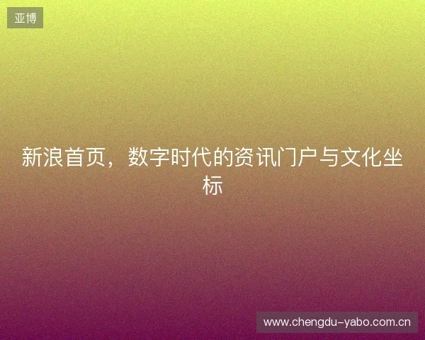新浪首页，数字时代的资讯门户与文化坐标