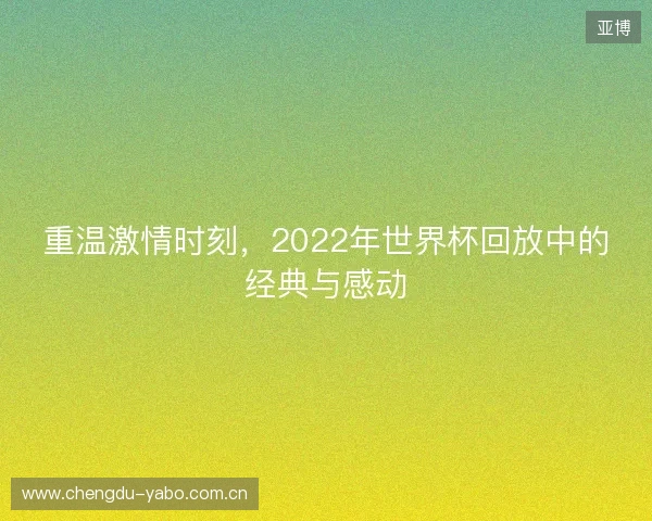 重温激情时刻，2022年世界杯回放中的经典与感动